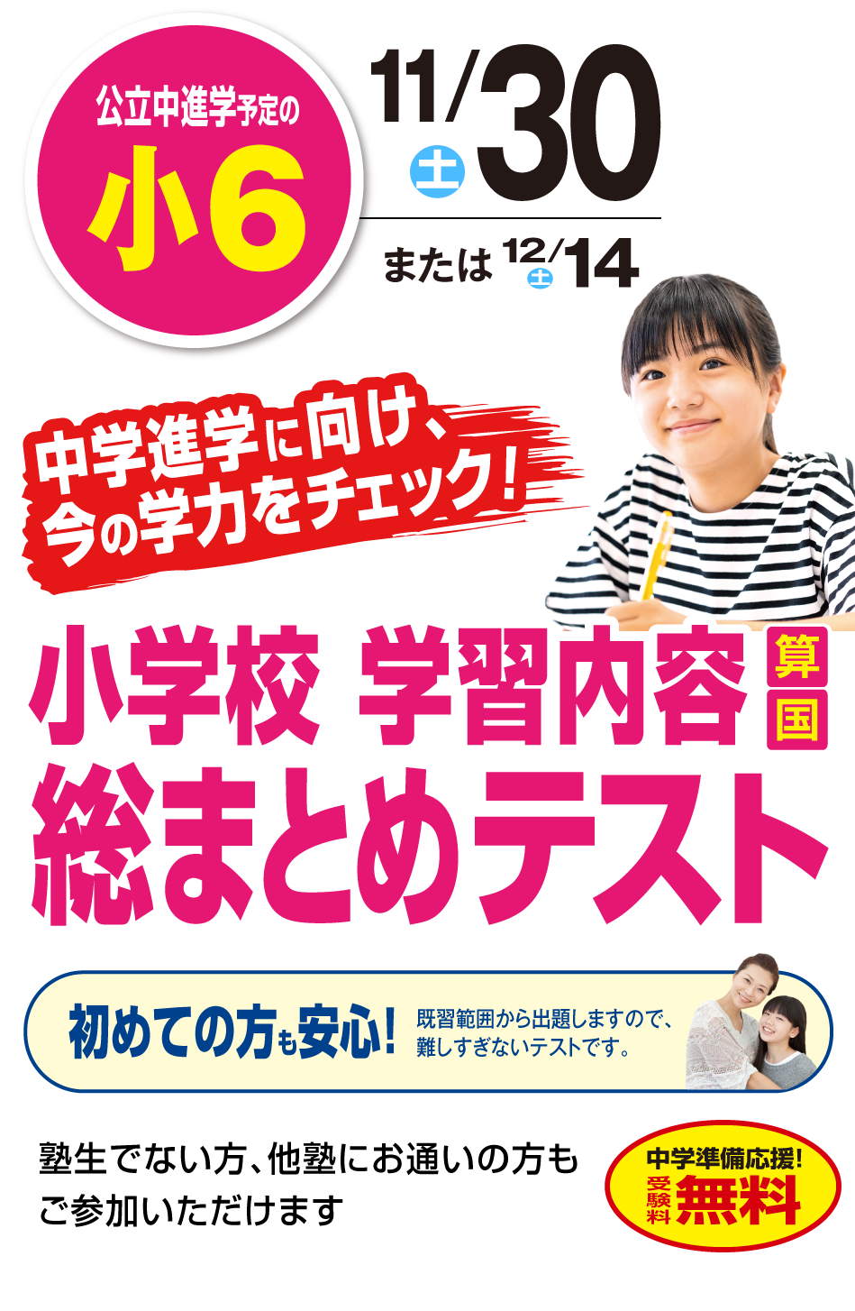 小学校 学習内容 総まとめテスト